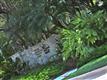 6148  Paradise Point Dr , Palmetto Bay, FL