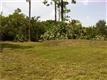 7000 SW 64 ST , South Miami, FL