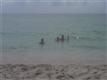 1121  Crandon Bl , Key Biscayne, FL