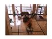5601  Collins Av , Miami Beach, FL