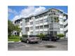 2781  Taft Street , Hollywood, FL