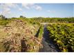 13831 SW 232 ST, Miami, FL 33170