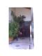 14341 Glencairn Rd, Miami Lakes, FL 33016