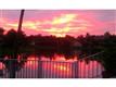 14341 Glencairn Rd, Miami Lakes, FL 33016