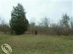 000 Mulberry Trl, Milford Twp, MI 48380