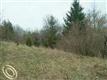 000 Mulberry Trl, Milford Twp, MI 48380