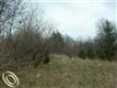 000 Mulberry Trl, Milford Twp, MI 48380