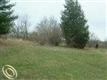 000 Mulberry Trl, Milford Twp, MI 48380