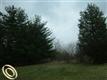 000 Mulberry Trl, Milford Twp, MI 48380