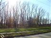 00  Ashland , HARRISON TOWNSHIP, MI