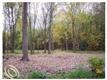 26565 Sherwood, Sumpter, MI 48111