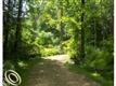 26565 Sherwood, Sumpter, MI 48111