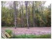 26565 Sherwood, Sumpter, MI 48111