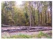 26565 Sherwood, Sumpter, MI 48111