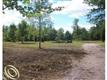 26565 Sherwood, Sumpter, MI 48111