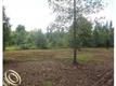 26565 Sherwood, Sumpter, MI 48111
