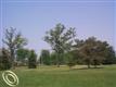 Saint Clair Twp