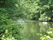 134  Greenwood Dr , Fishkill, NY