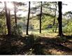 Lot X Charles River St., Needham, MA 02492