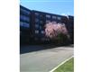 210  Nahanton St 