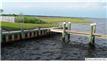 198  Cartagena Dr , Brick, NJ