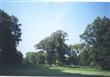 Wilmette