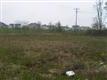 2207  Kingsmill Street , Yorkville, IL