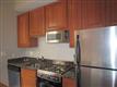 1510 N Greenview Avenue #2F, Chicago, IL 60622
