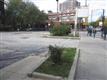 905 W Buena Avenue , Chicago, IL