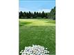 2700 Point Lane, Highland Park, IL 60035