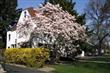 138  Woodland Avenue , Winnetka, IL
