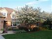 951  Wedgewood Drive 