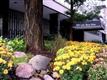 1000 N Lake Shore Drive 