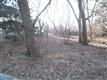 1010 N Arlington Heights Road , Arlington Heights, IL