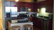 720 N Larrabee Street #910, Chicago, IL 60610
