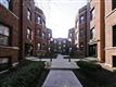 907 W Cornelia Avenue , Chicago, IL