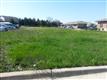 Tinley Park