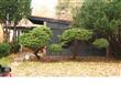 14218 S Clark Street , Riverdale, IL