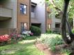 1702  Mt. Washington Court , Baltimore, MD