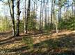 60 Danielles Way, Dowell, MD 20629