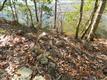 60 Danielles Way, Dowell, MD 20629