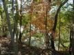 60 Danielles Way, Dowell, MD 20629