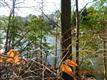 60 Danielles Way, Dowell, MD 20629