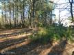60 Danielles Way, Dowell, MD 20629