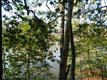60 Danielles Way, Dowell, MD 20629