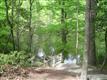 11510  Palo Alto Road , Lusby, MD