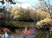 12746  Porters Landing Road 