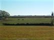  Us 15 E, Culpeper, VA 22701