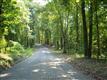   Spring Hollow 