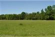   Mount Pony , Culpeper, VA